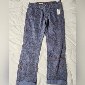 Anthropologie The Slim Boyfriend Jeans